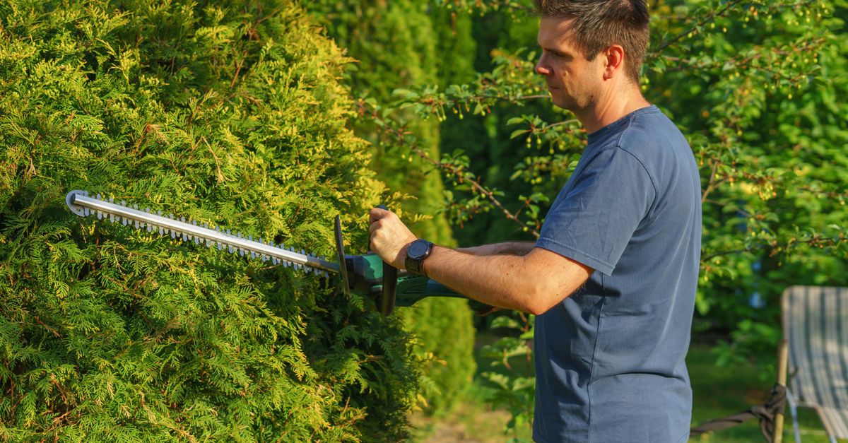 A Beginner's Guide to Using a Pole Saw Safely