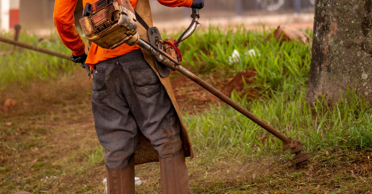 Common Pruning Mistakes and How to Avoid Them