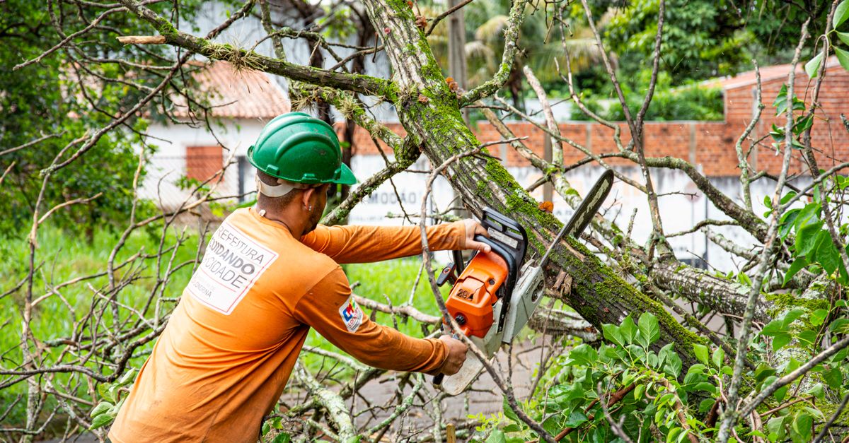 How to Preserve Tree Shape with Pruning Techniques
