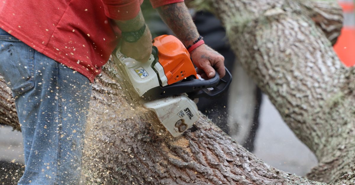 The Environmental Benefits of Using a Wood Chipper in Tree Maintenance