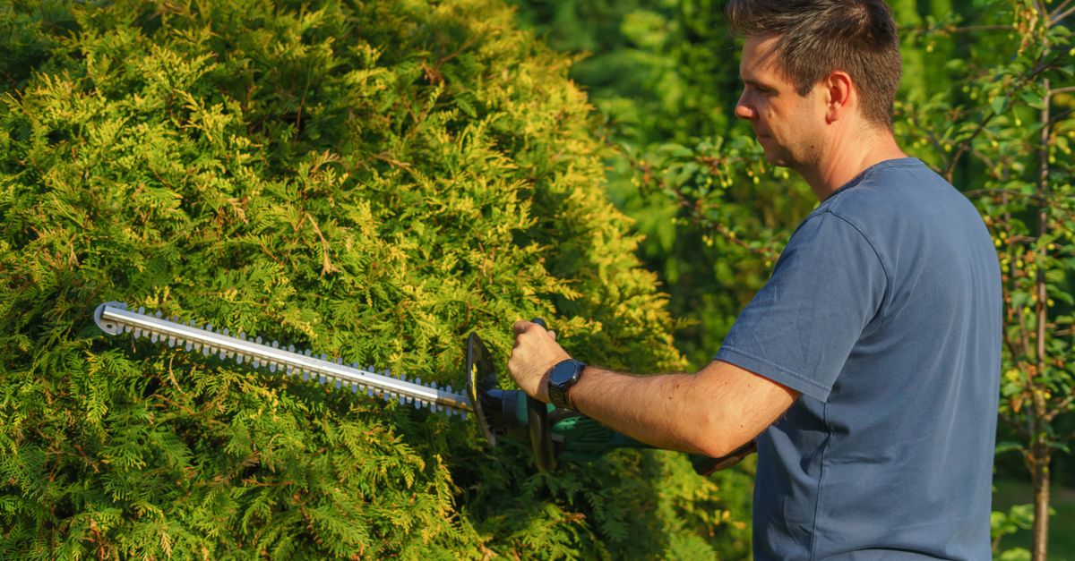 Tips for Effortless Tree Trimming with a Pole Saw