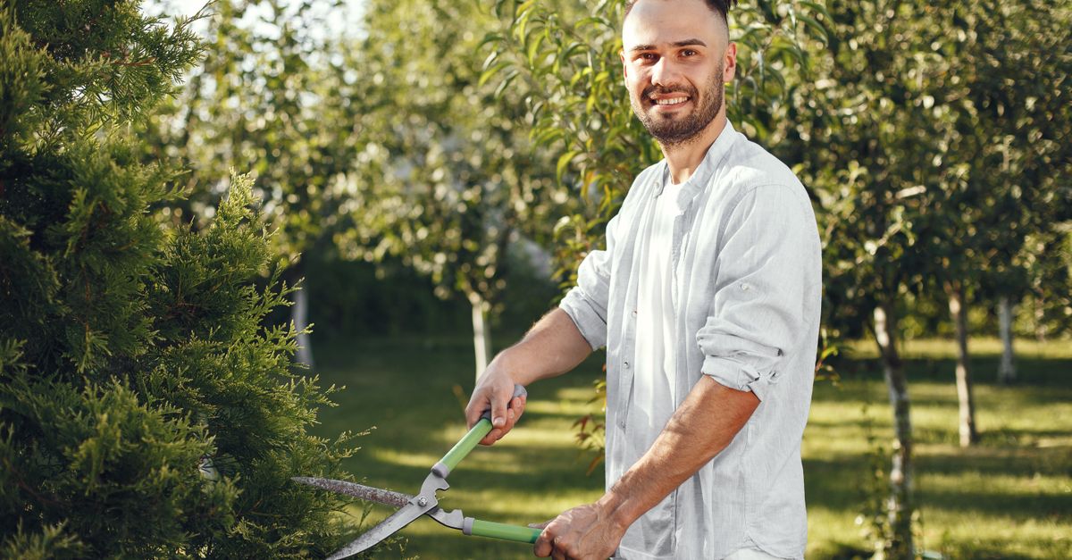 Top Features to Look for in Pruning Shears