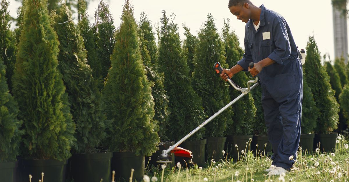 Topping vs Other Pruning Methods: What You Need to Know