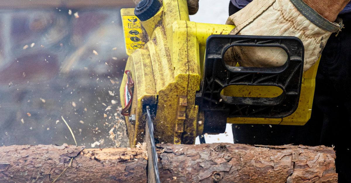 Understanding the Significance of Respirators in Tree Maintenance